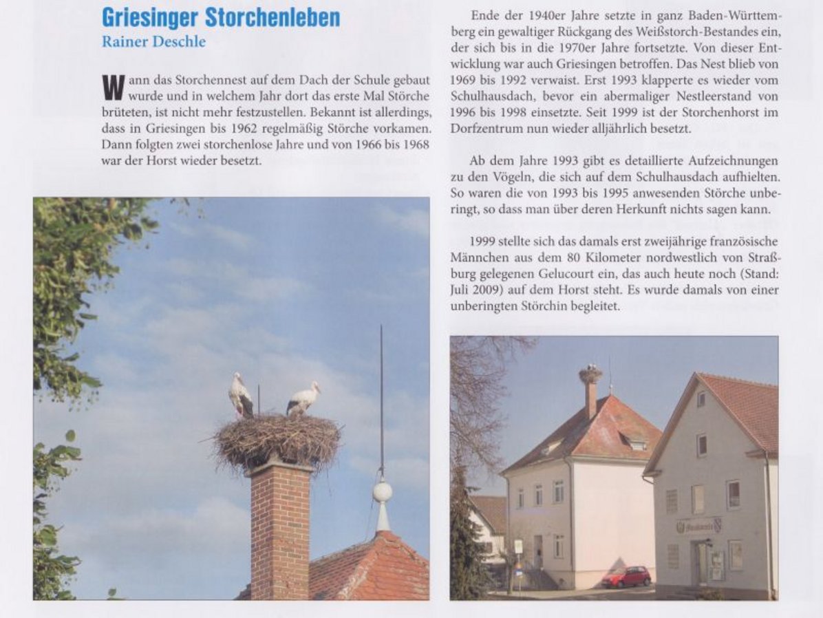 Gemeindebuch Seite aus dem Gemeindebuch