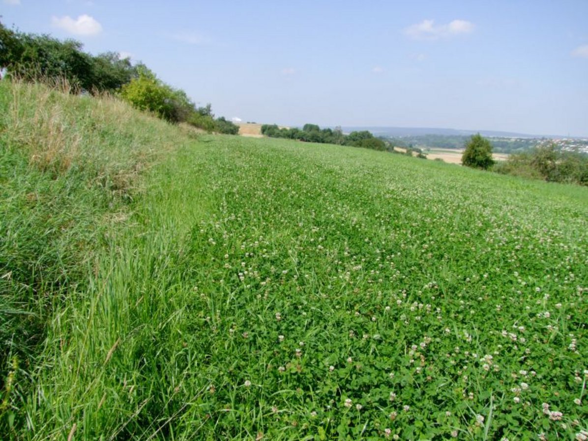 Haldenlandschaft Haldenlandschaft